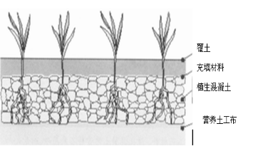 土工布—营养土工布